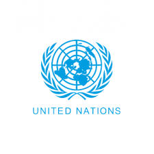 UN Condemns Killing of 63 in Borno, Calls for Urgent Investigation